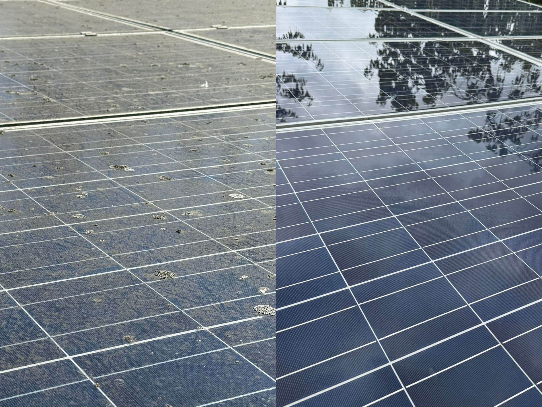 Side-by-side comparison of dirty vs clean solar panels, showing the effectiveness of Roundhouse UK’s professional solar panel cleaning service.
